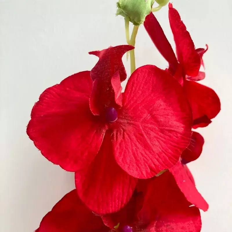 silk orchid with realistic leaves 