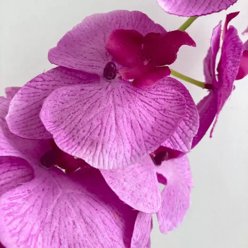 lifelike silk orchid plant 